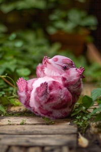 Image 6 of Wild berry animal print gamusino artdoll [IN STOCK]