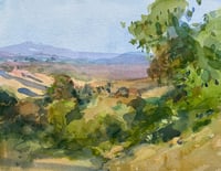 Pico Valley, San Clemente