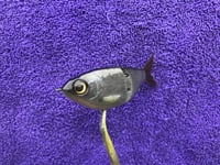 Image 2 of SPEEDBAITS Custom Airbrushed Swimbait 7949