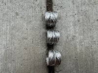 Image 4 of Culinary Sage, size 6-7