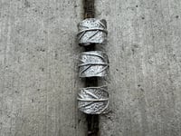 Image 6 of Culinary Sage, size 6-7