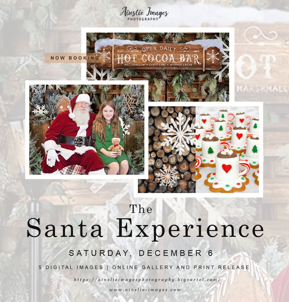 Image of The Santa Experience 2025