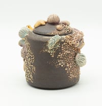 Image 5 of Tide Pool jar