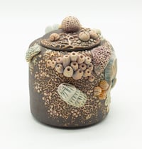 Image 2 of Tide Pool jar