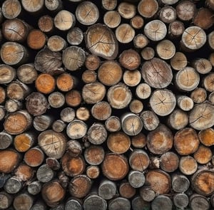 Image of The Santa Experience 2025