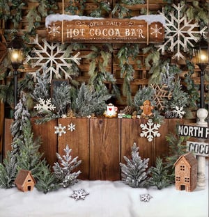 Image of The Santa Experience 2025