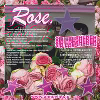 Image 3 of ANNOYING AIR FRESHENERS