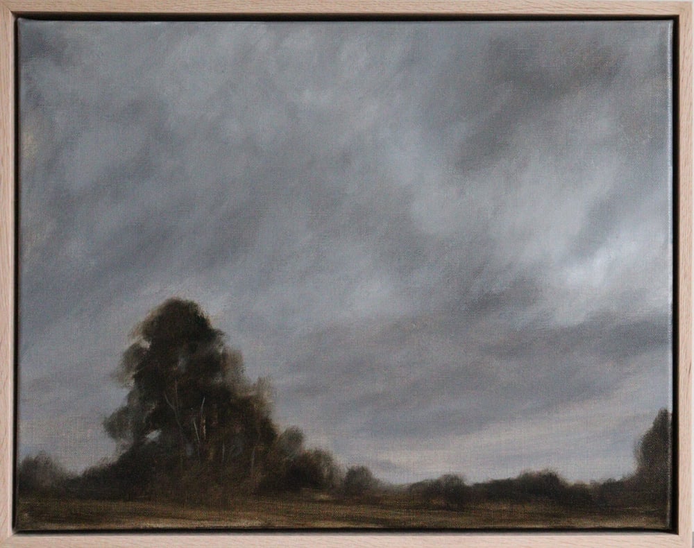 Image of Bord de forêt au crépuscule