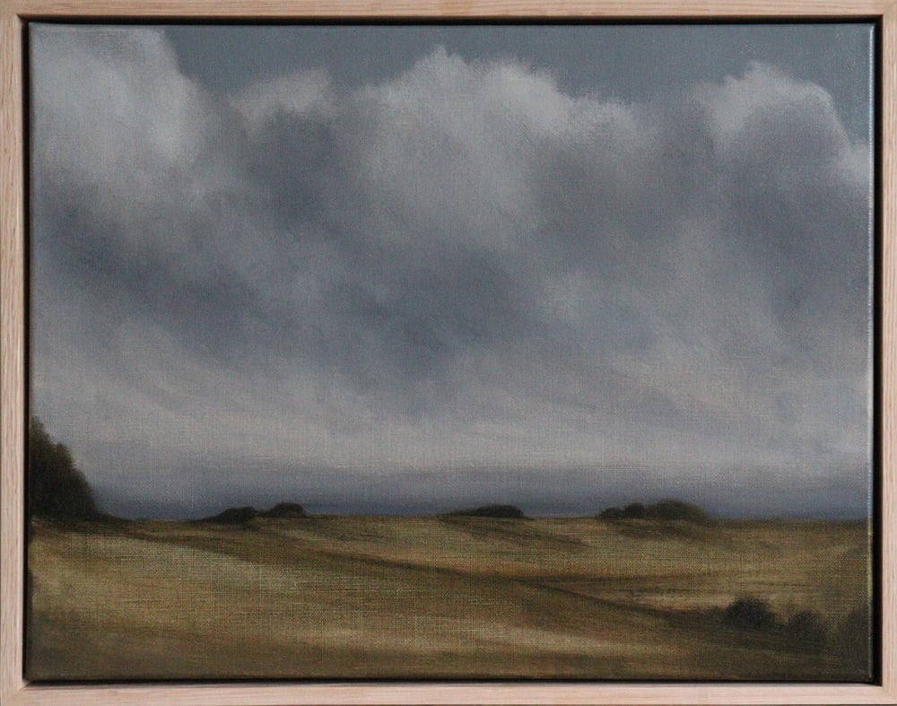 Image of Campagne sous un ciel nuageux