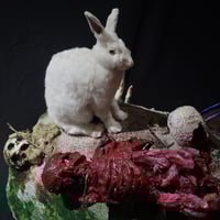 Image 1 of The Holy Grail Killer Bunny from Monty Python