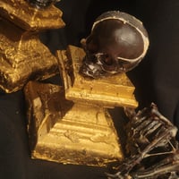 Image 2 of Tête de fetus déformé sur socle. 
