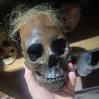 Reproduction d'un crâne alongé 
