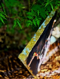 Image 4 of Double Down