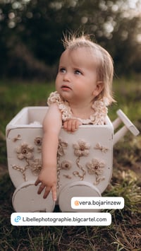 Image 2 of Baby Wagon in natural optic