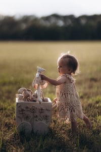 Image 3 of Baby Wagon in natural optic