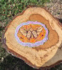 Image 2 of Beetle woodburning