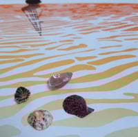 Image 5 of Low tide