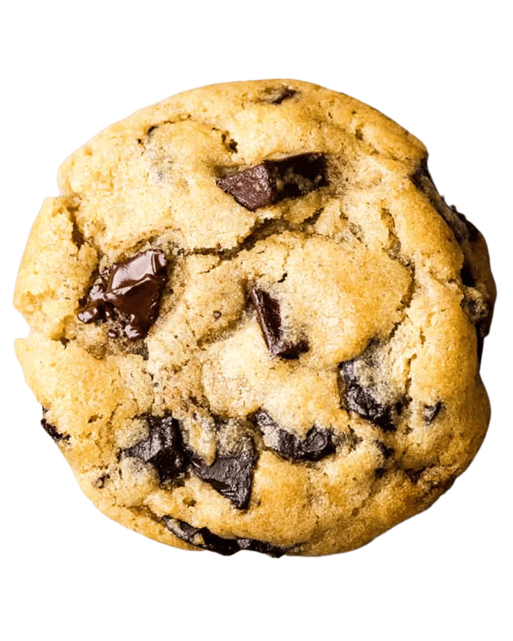Image of Chocolate Chip Cookie