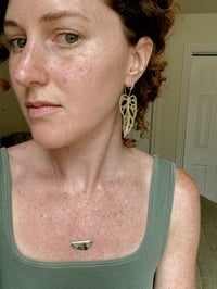 Image 2 of Monstera adansonii 