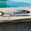 Smolt Glide (dark back stocker)