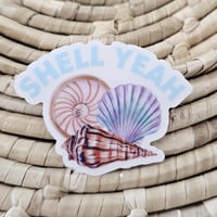 Image 3 of Clear seashell sticker with quote, beach decal, summer sticker