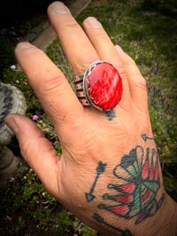 Image 3 of WL&A Handmade Heavy Ingot Red Sponge Coral Ring - Size 15