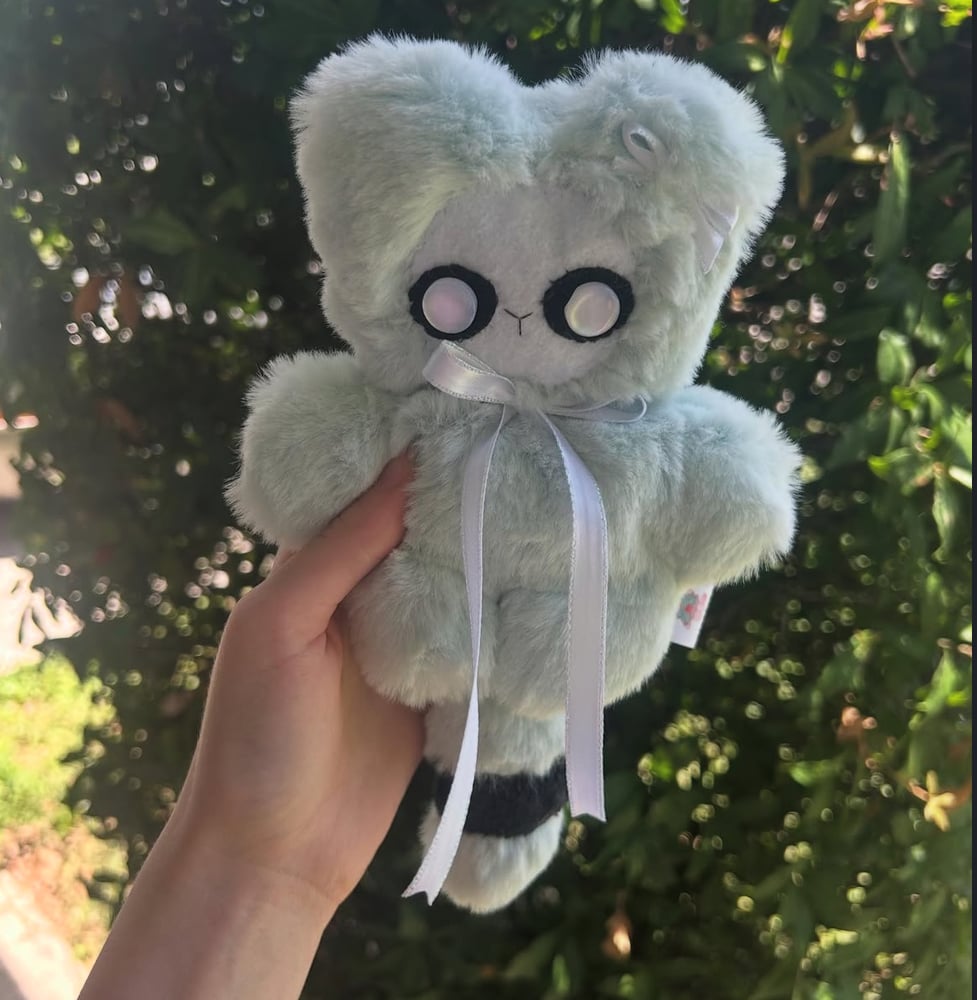 Image of bubbles the raccoon 🦝 🫧