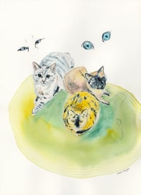Image 10 of COMMISSION A STUDY of a Creature of your Affection (PET PORTRAIT)