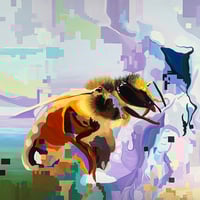 Image 1 of Bee in Iris