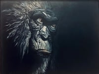 Watchful Eyes of Fatou