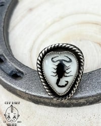 Image 1 of White Scorpion Ring sz 8.75