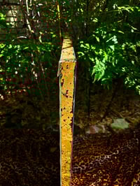 Image 4 of Jungle Gin