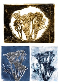 Image 1 of  Botanical Gelli Plate Printing
