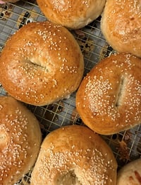Sesame Seed Bagels (Half-Dozen)