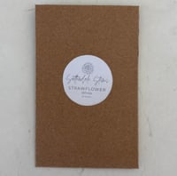 Image 2 of Strawflower White 25pk