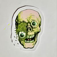 Image 1 of Rotting Skull With Maggots And Eyeball Pouring Out Of Eye Socket Matte Vinyl Sticker