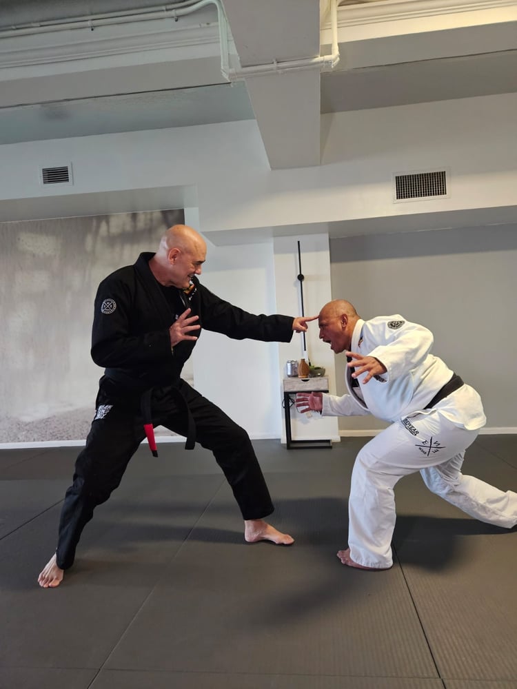 Image of P&D BJJ GI'S 