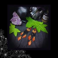 Image 2 of ☽ Quercus Bohemia Ignis ☾