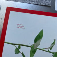 Image 9 of Keiji Haino Flyer Set 1