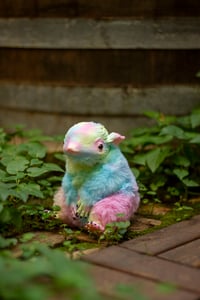 Image 8 of Pastel rainbow tie-dye Gamusino Artdoll [IN STOCK]