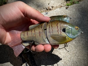 Image of 6” Ann XSlowSink (The Sandlot)