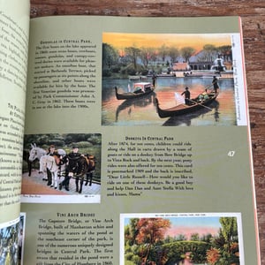 Image of Lost New York in Old Postcards