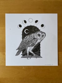 Image 1 of "Barn owl" original art