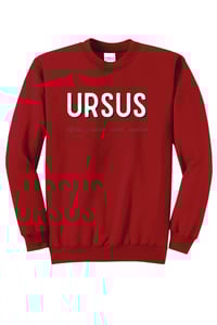 Image 1 of Ursus Sweatshirt or Hoodie 2