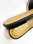 Image 5 of Cristal Mule GG