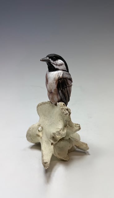 Image of Charmer- Deana Bada Maloney