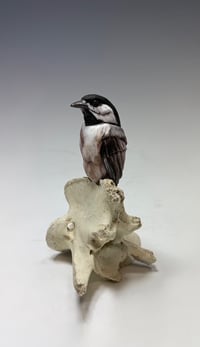 Charmer- Deana Bada Maloney