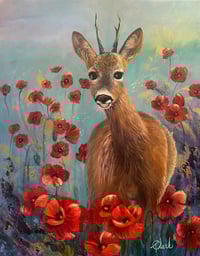 Roe Deer in the Poppies