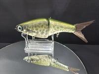 Image 1 of Biggs Custom Baits- BI colorway #21