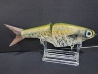 Image 6 of Biggs Custom Baits- BI colorway #21